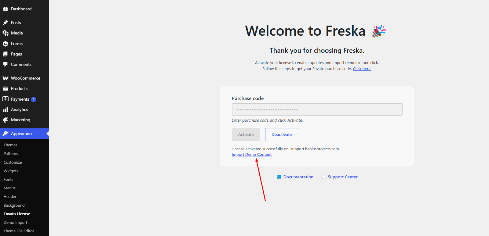 Envato License page after successful activation with Import Demo Content link