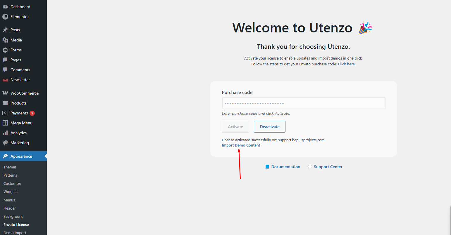 Envato License page after successful activation with Import Demo Content link